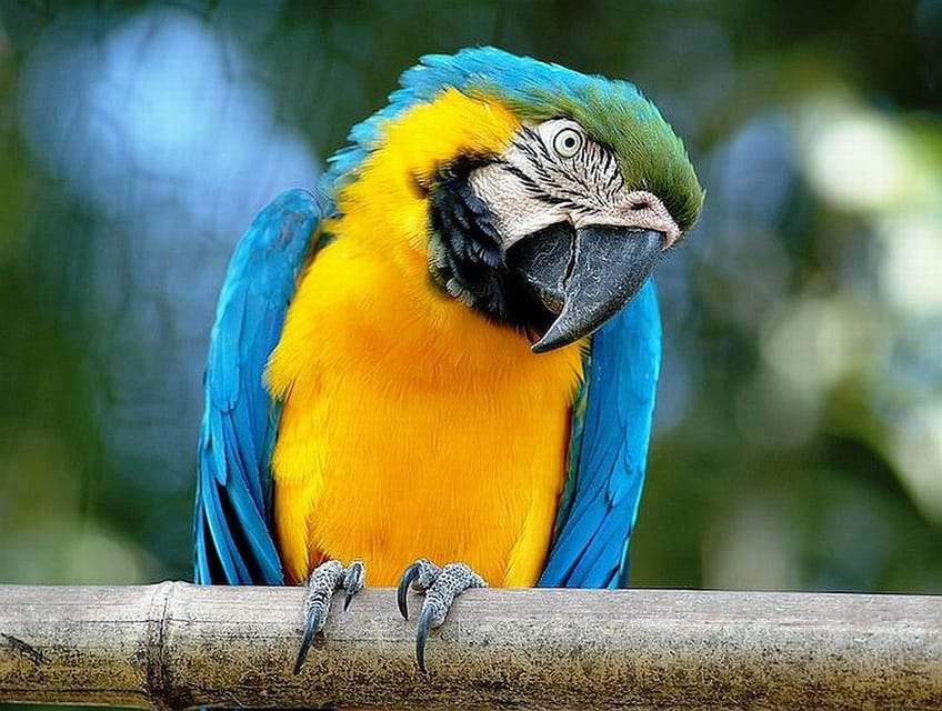 Rome: Bioparco di Roma Zoological Garden Entry Ticket - Key points to know before you go