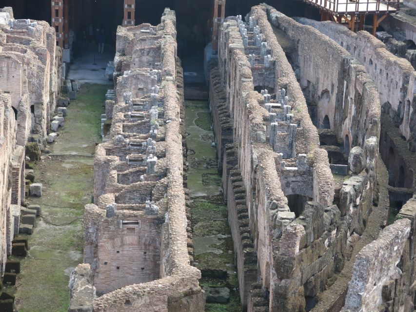 Rome: Colosseum Arena Floor, Roman Forum & Palatine Tour - Key points to know before booking