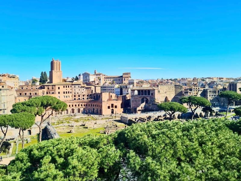 Rome: Colosseum Arena Guided Tour, Forum & Palatine Option - Palatine Hill and the view across ancient Rome