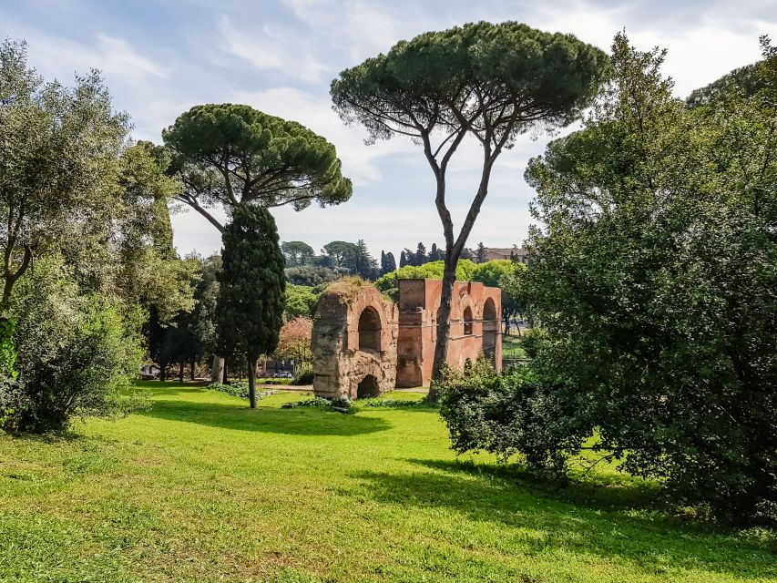 Rome: Colosseum Arena, Palatine Hill & Forum Guided Tour - A 1.5-hour look inside the Colosseum