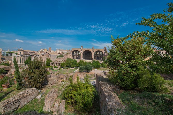 Rome: Colosseum Arena, Roman Forum & Palatine Hill Tour - Meeting point, transport, and practical preparation
