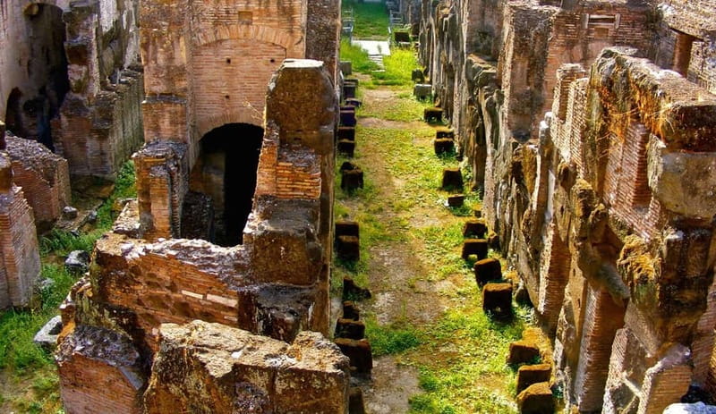 Rome: Colosseum Gladiator's Arena and Roman Forum Tour - The Roman Forum: where the ancient city makes sense