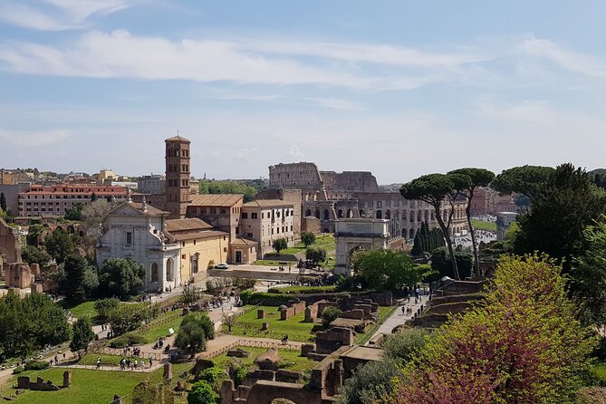 Rome: Colosseum, Palatine Hill and Roman Forum Guided Tour - The Arch of Constantine and the road to Palatine Hill