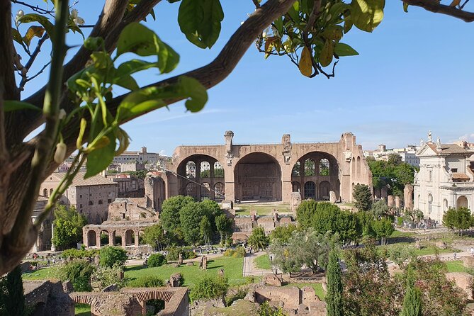 Rome: Colosseum, Roman Forum & Palatine Hill Experience - Palatine Hill and Rome from above