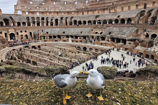 Rome: Colosseum, Roman Forum & Palatine Hill Visit + Audio Guide - Roman Forum: allow time for the ruins