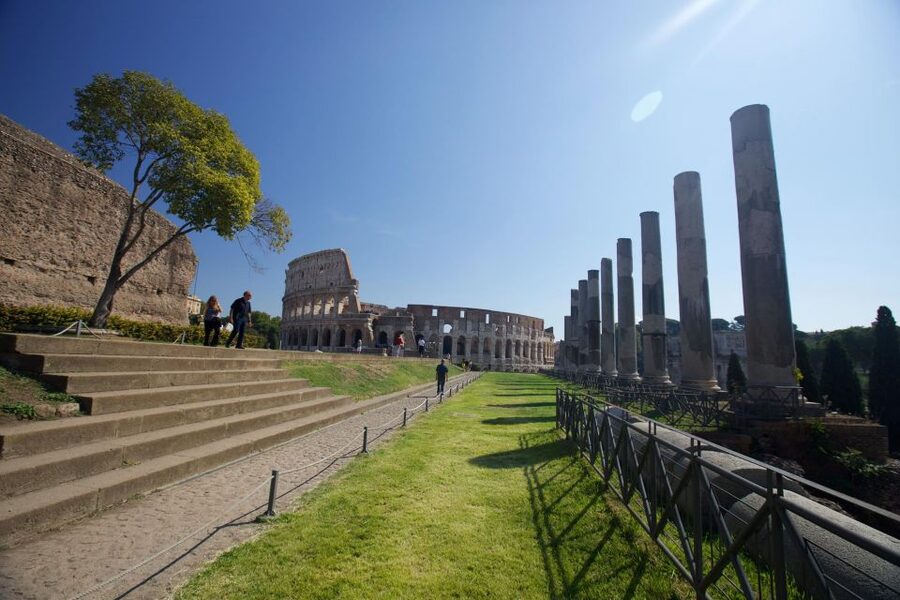 Rome: Colosseum Underground Small Group Guided Tour - Palatine Hill and the Roman Forum without a guide
