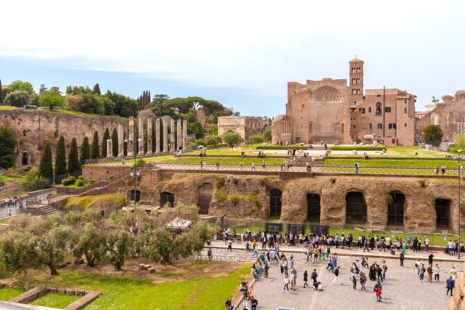 Rome: Colosseum with Roman Forum & Palatine Hill Guided Tour - The guides make the biggest difference