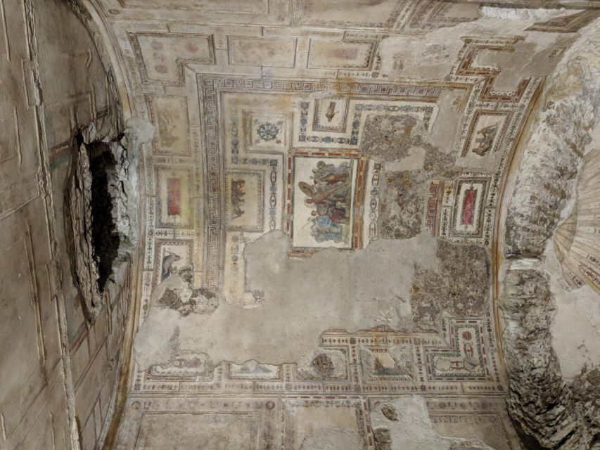 Rome: Domus Aurea, Nero's Golden House guide tour - Key points to know before booking
