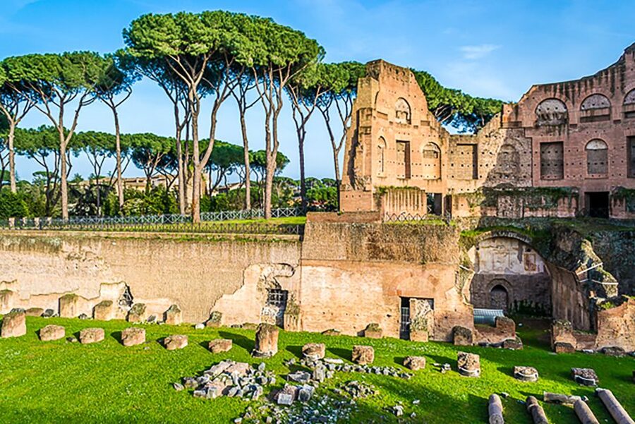 Rome: Guided Tour of Colosseum, Roman Forum & Palatine Hill - Who will get the most from the $55 price
