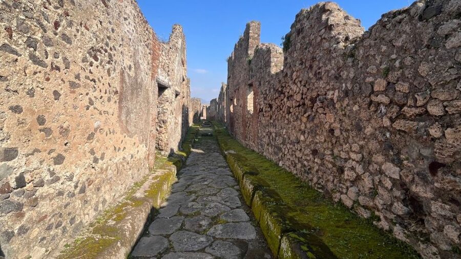 Rome: Pompeii Tour with Wine and Lunch by High Speed Train - Should you book it?