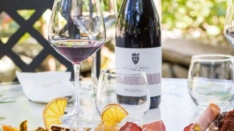 Rome: Pompeii Tour with Wine and Lunch by High Speed Train - What the walking is really like