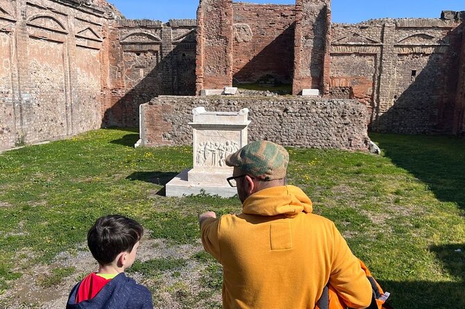 Rome to Pompeii Guided Tour with Wine & Lunch by High Speed Train - Group size, pacing, and comfort