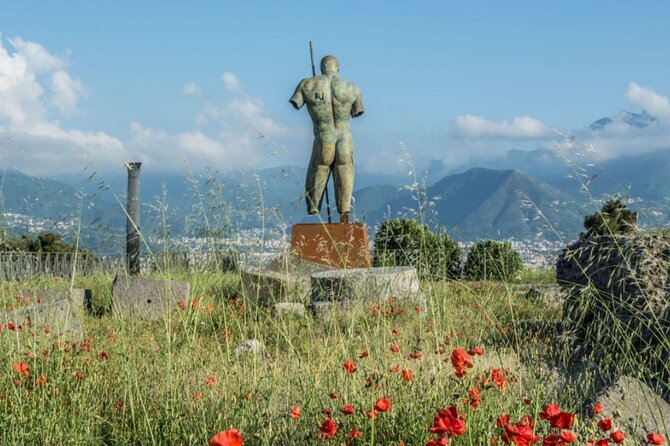 Rome to Pompeii Guided Tour with Wine & Lunch by High Speed Train - Who should book this experience?