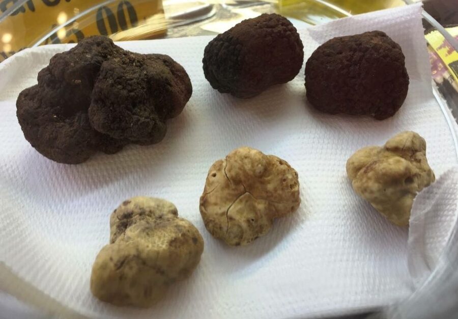 Rome: Trastevere Guided Food and Wine Tour with 20+ Tastings - Stop one: building your own trapizzino