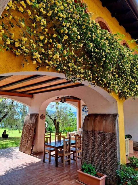 San Felice: Olive Oil Tasting with local food on Garda Hills - Key points at a glance