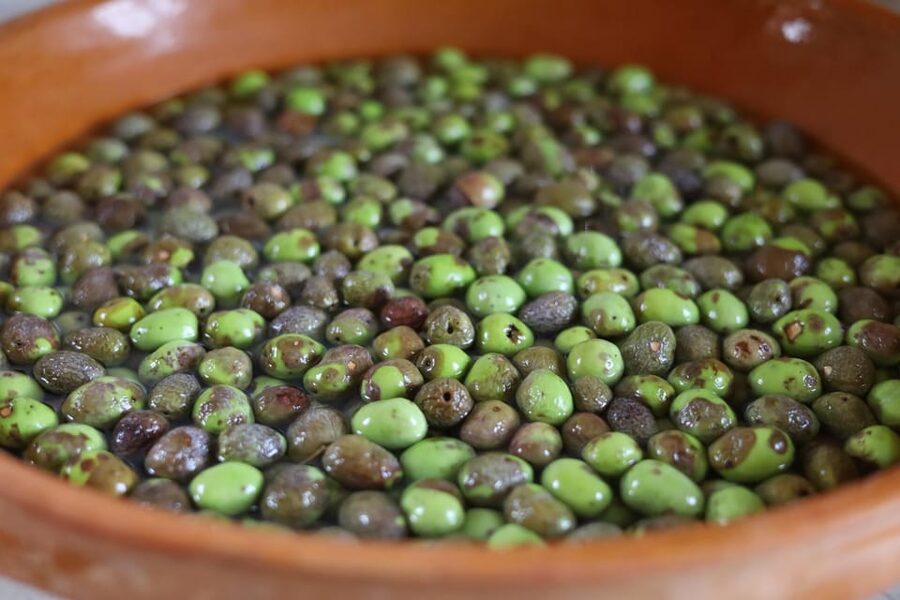 San Felice: Olive Oil Tasting with local food on Garda Hills - Why the two-hour format works