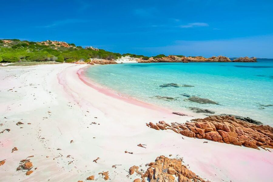 Sardinia: La Maddalena Archipelago Full-Day Trip by Boat - Key points to know before you book