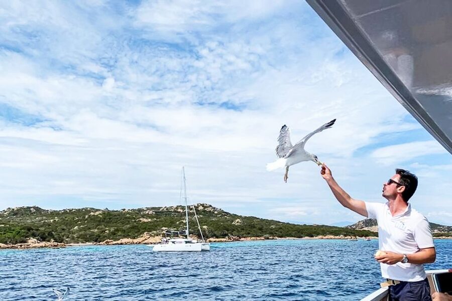 Sardinia: La Maddalena Archipelago Full-Day Trip by Boat - Budelli’s Pink Beach and Santa Maria’s natural pools