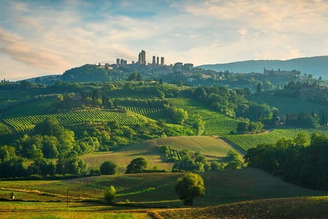 Semi Private Deep Wine Chianti and San Gimignano from Florence - San Gimignano in 85 minutes