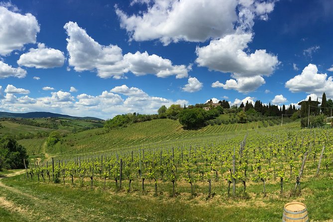 Siena: A Wine Tour and Tasting Experience - Four wines and a lesson in tasting