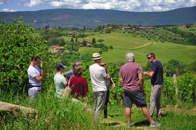 Siena: A Wine Tour and Tasting Experience - Who gets the most from this experience