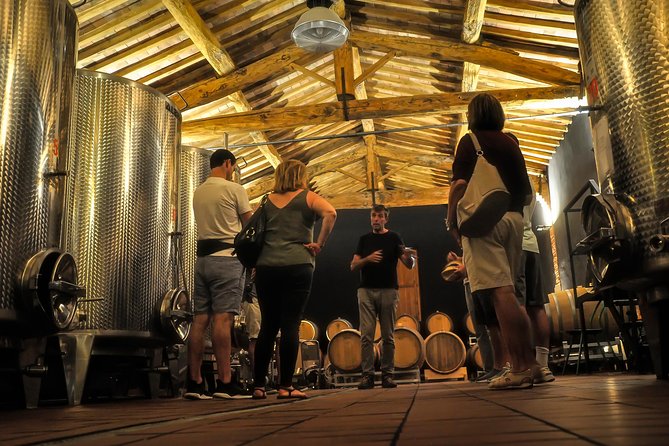 Siena: A Wine Tour and Tasting Experience - Starting among the organic vines