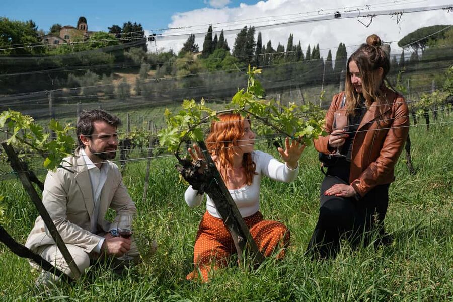 Siena: Educational Wine Tour & Tasting - Key points at a glance