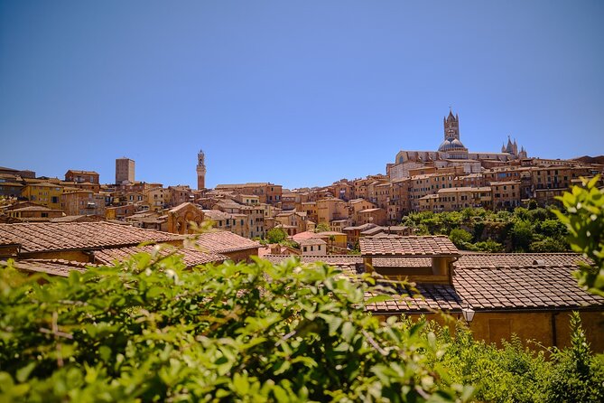 Siena, San Gimignano and Chianti Wines Day Tour from Florence - Why this Tuscan day trip works