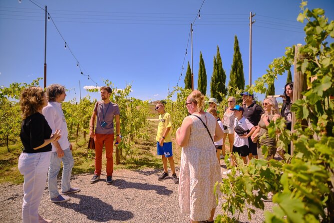 Siena, San Gimignano and Chianti Wines Day Tour from Florence - Siena, the main event