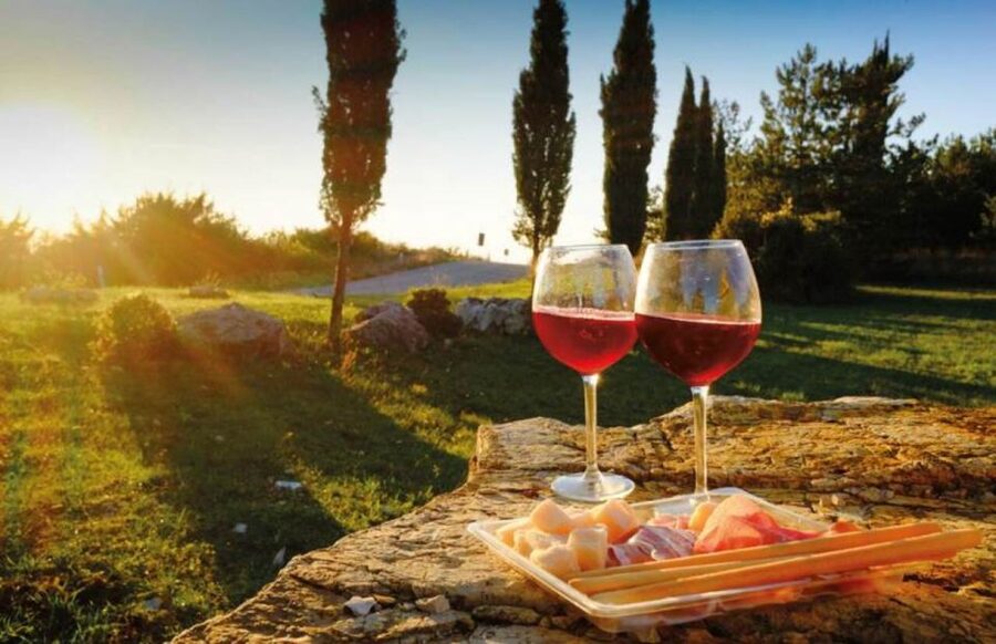 Siena: San Gimignano, Chianti & Montalcino Small-Group Tour - Brunello in a local wine cellar