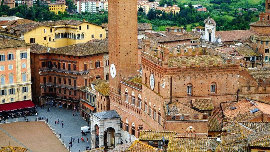 Siena Walking Tour with Cathedral and Crypt & Museum Option - The walking conditions and church rules