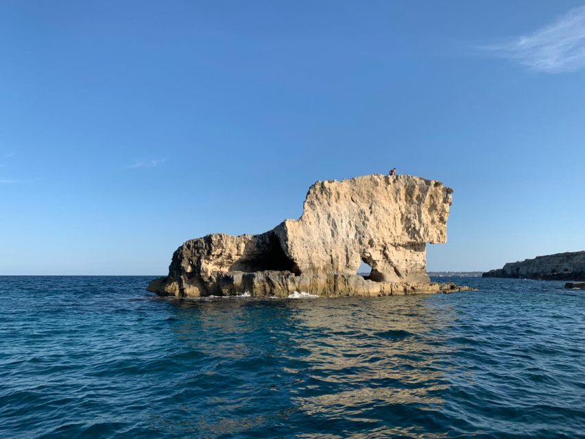 Siracusa: Ortigia Boat Tour with Marine Grotto - Maniace Castle and the outer coast