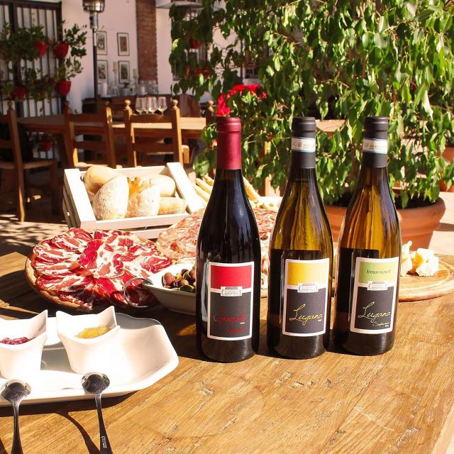 Sirmione: Vineyard Tour with Lugana Wines and Local Tastings - Who will enjoy this winery visit most