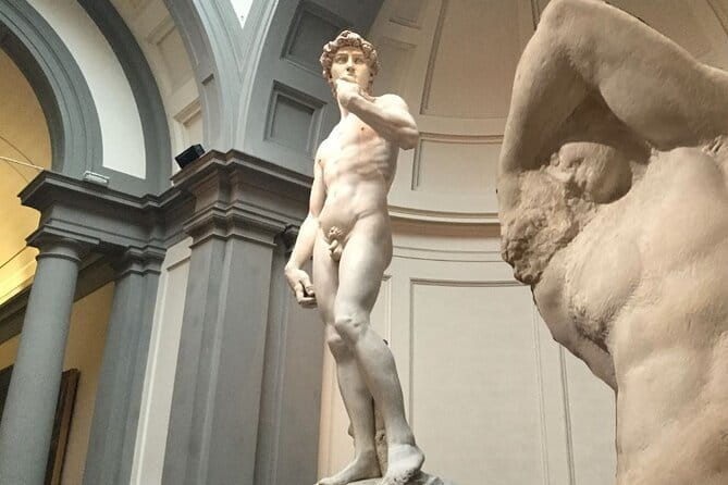 Skip the line : David Guided Experience - A focused hour, not an all-day museum lesson