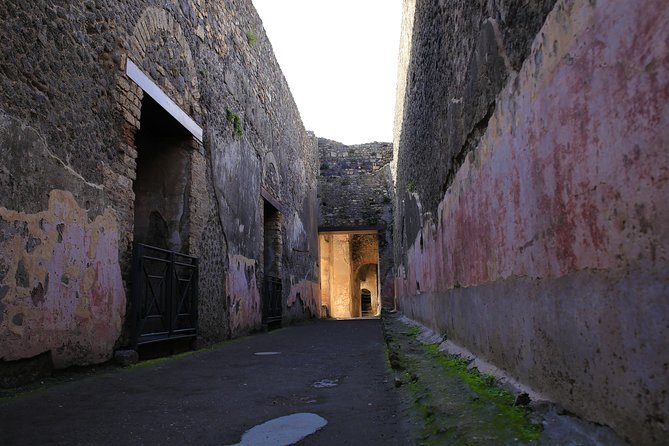 Skip the Line Guided Tour of Pompeii led by an Archaeologist - What the two-hour format gets right