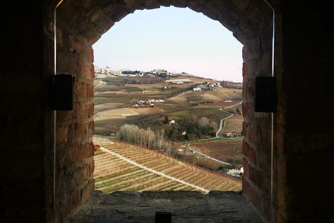 Small-Group Barolo Wine Tasting, Alba & UNESCO Piedmont Hills - Grinzane Cavour Castle and the story behind modern Barolo