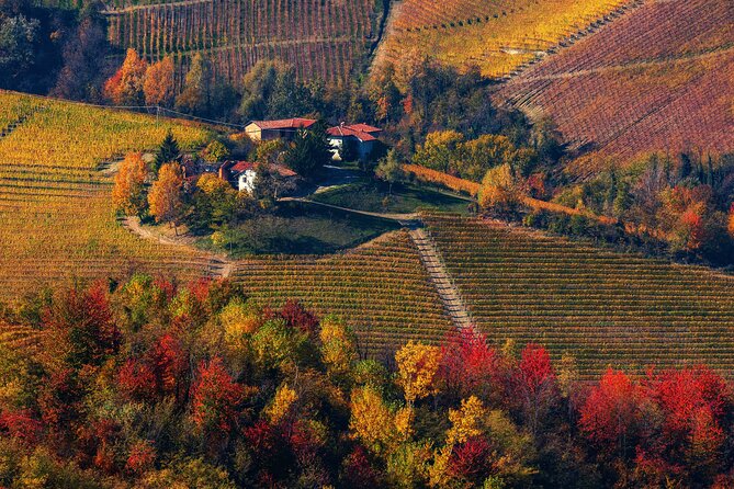Small-Group Barolo Wine Tasting, Alba & UNESCO Piedmont Hills - Who should book this tour?