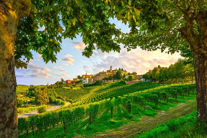 Small-Group Barolo Wine Tasting, Alba & UNESCO Piedmont Hills - The family winery: where Barolo becomes more than a label