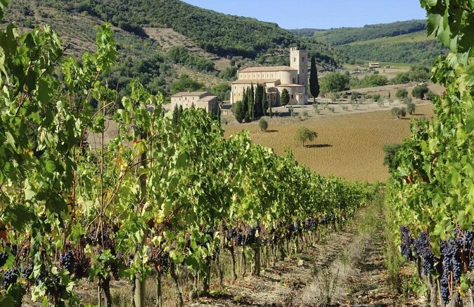 Small-Group Brunello di Montalcino Wine-Tasting Trip from Siena - Key points to know before booking