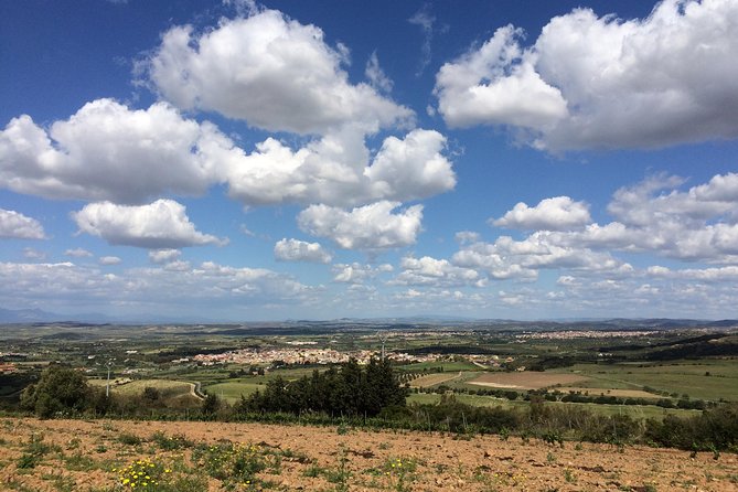 Small-Group Food and Wine Tour from Cagliari - A Sardinian table, not just a wine flight