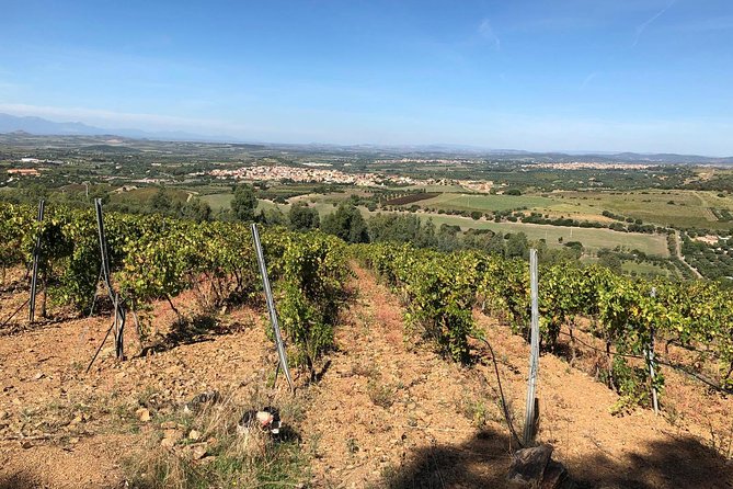 Small-Group Food and Wine Tour from Cagliari - How much time do you spend in the car?