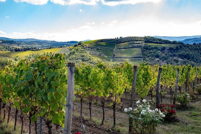 SMALL-GROUP Wine Safaris: Tuscan Wine Tasting Tours from Florence - Key points to know before booking