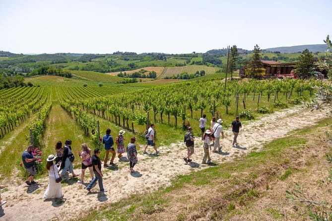 SMALL-GROUP Wine Safaris: Tuscan Wine Tasting Tours from Florence - Why the food makes the wine easier to understand