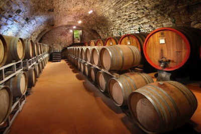 Small-Group Wine Tasting Experience in the Tuscan Countryside