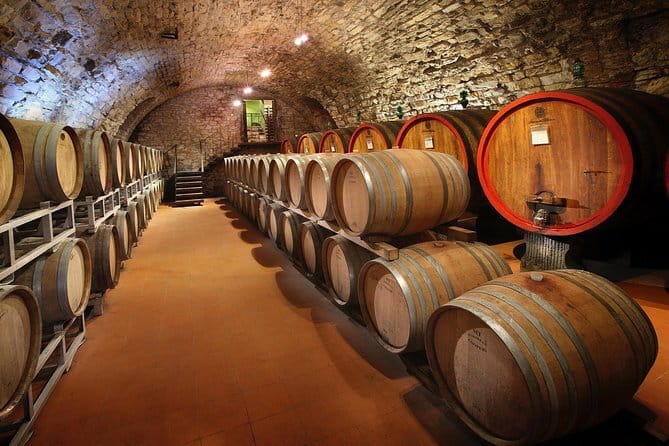Small-Group Wine Tasting Experience in the Tuscan Countryside - Second winery: a useful comparison, not a guaranteed full tour