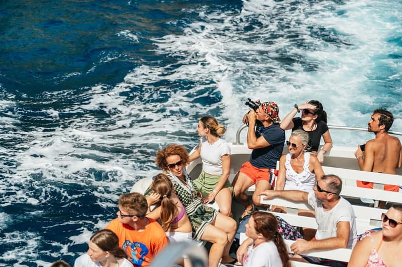 Sorrento: Coast and Capri Boat Trip with Limoncello Tasting - Returning to Sorrento