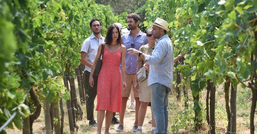 Sorrento: Farm Tour with Cheese Tasting & Pizza Making Class - Key points at a glance