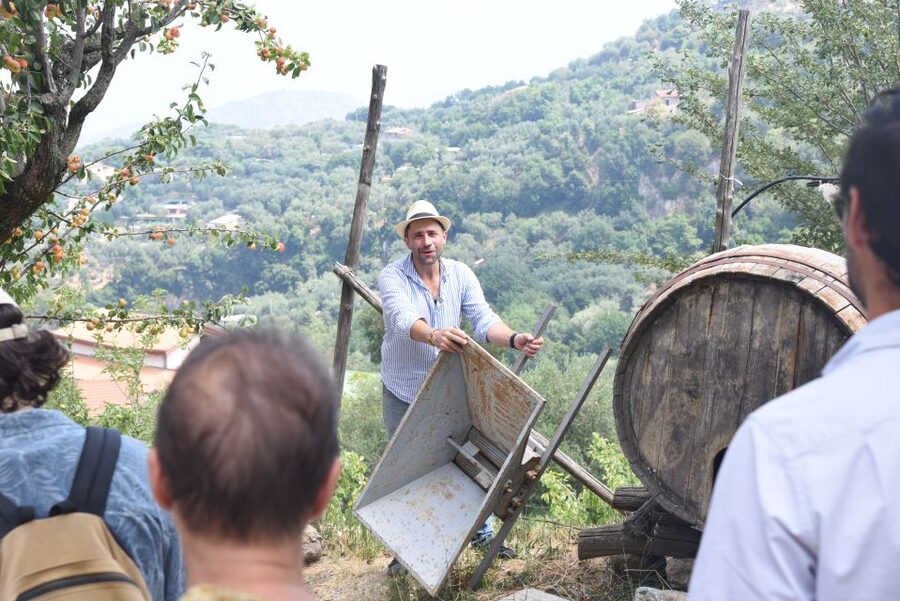 Sorrento: Farm Tour with Cheese Tasting & Pizza Making Class - Walking through the farm’s working parts