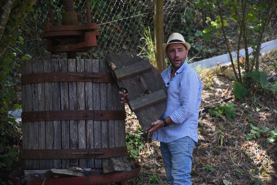 Sorrento: Farm Tour with Cheese Tasting & Pizza Making Class - The pizza class is the afternoon’s social center