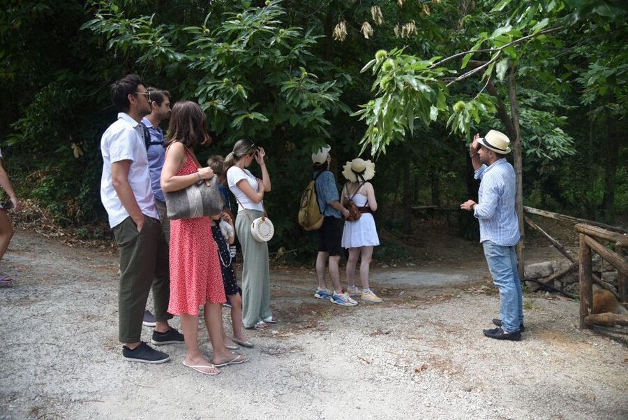 Sorrento: Farm Tour with Cheese Tasting & Pizza Making Class - What lunch includes at Primaluce